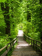 08 Forest trail near Andechs