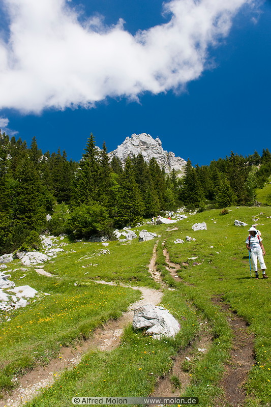 30 Alpine scenery and hiking trail