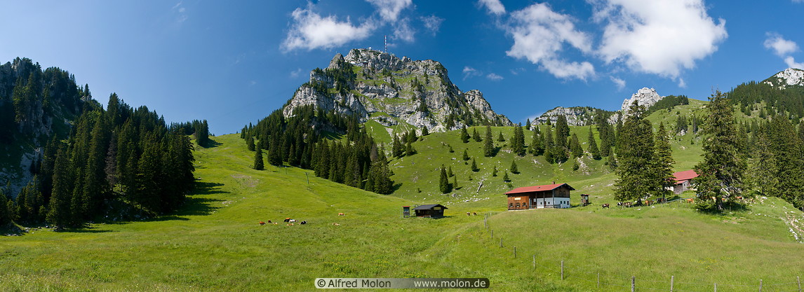 33 Meadows with trees and Wendelstein summit