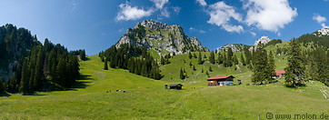 33 Meadows with trees and Wendelstein summit