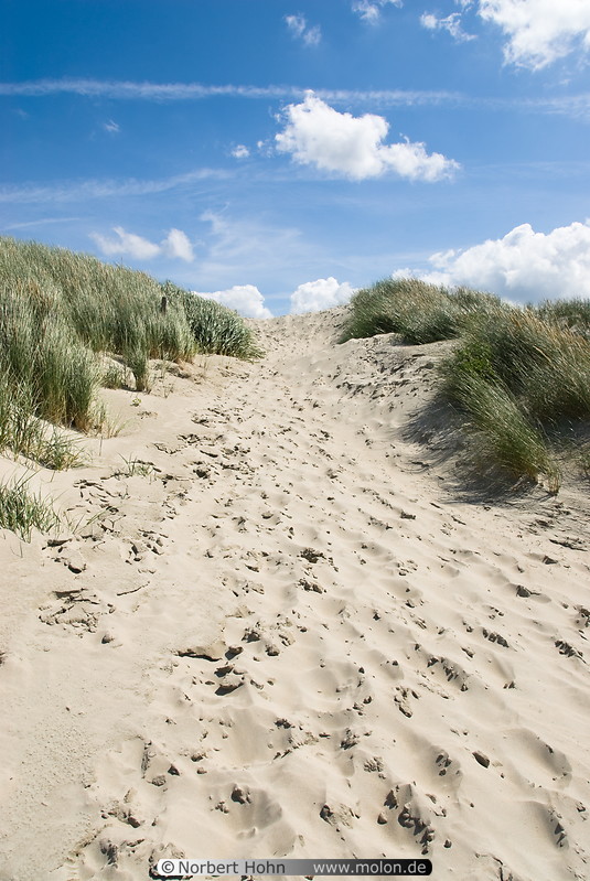 13 Suder dunes