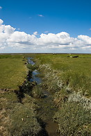 14 Salt marsh near Paddingbuttel