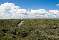 16 Salt marsh near Paddingbuttel