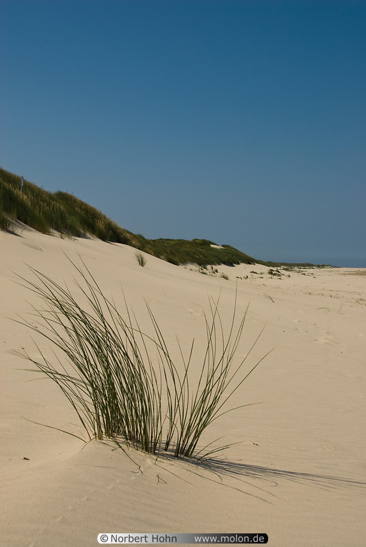 14 Dune landscape