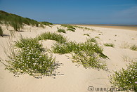 10 Dune landscape