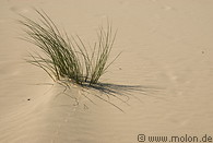 16 Dune landscape