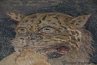12 Head of panther mosaic