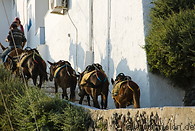 04 Mules in Thira village
