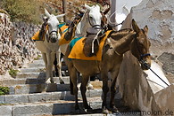 13 Mules on staircase to Oia