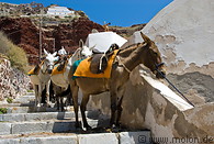 14 Mules on staircase to Oia