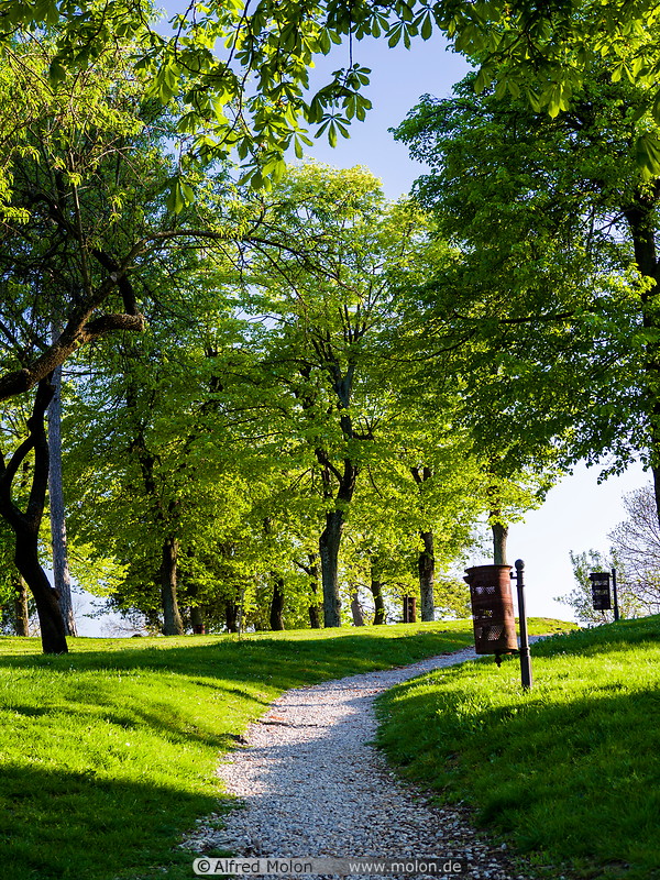 17 Tihany park with trees