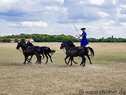 15 Hungarian horsemen show