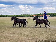 18 Hungarian horsemen show