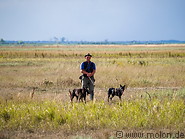 42 Herdsman with dogs