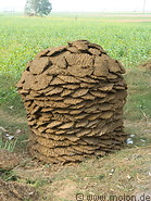 10 Heap of dried cow dung called kandas