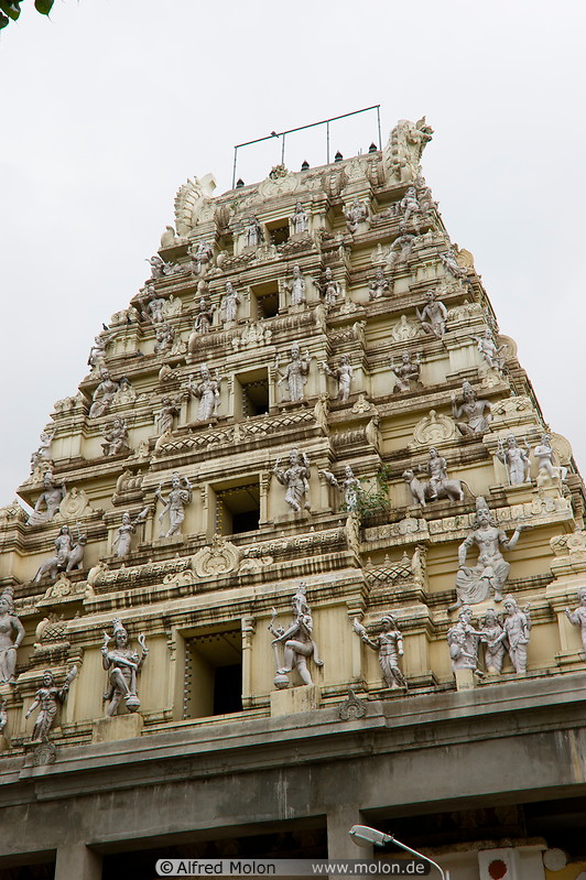 11 Bull temple