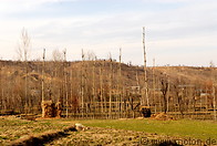12 Kashmiri landscape