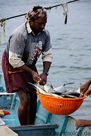 10 Fishermen unloading catch
