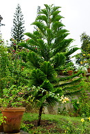 06 Gardens of Thripunithura hill palace
