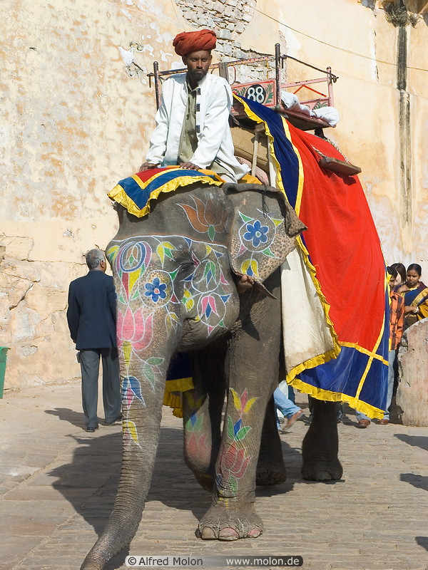 07 Elephant with guide