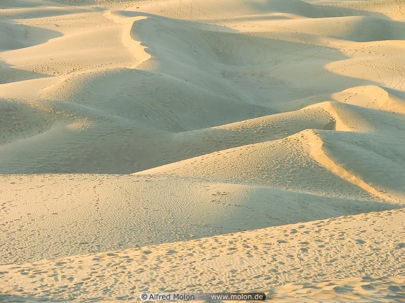 10 Sand dunes at sunset