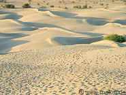 07 Sand dunes at sunset