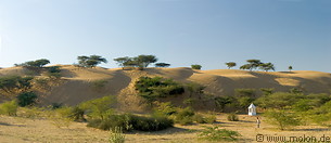09 Thar desert and trees