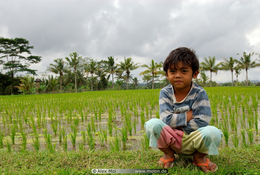 19 Balinese child at paddy field