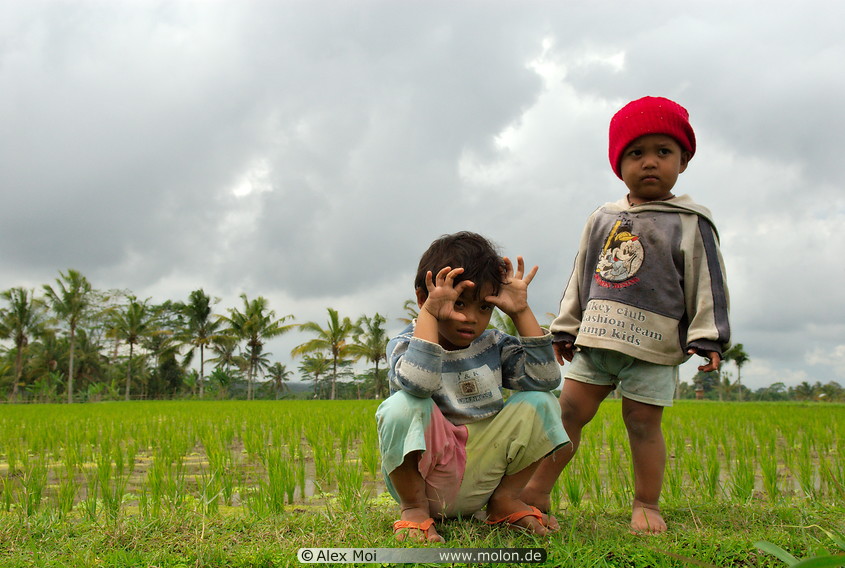 21 Balinese children at paddy field