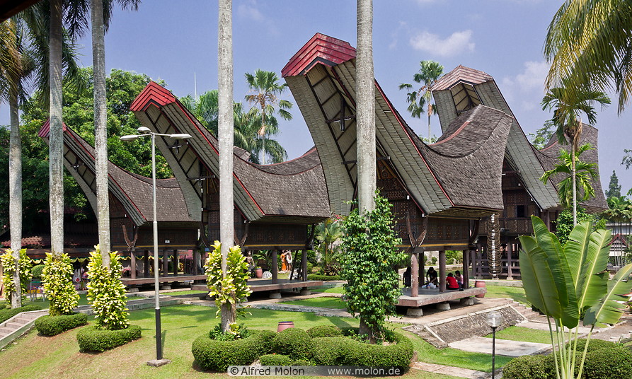 18 Toraja houses, Sulawesi