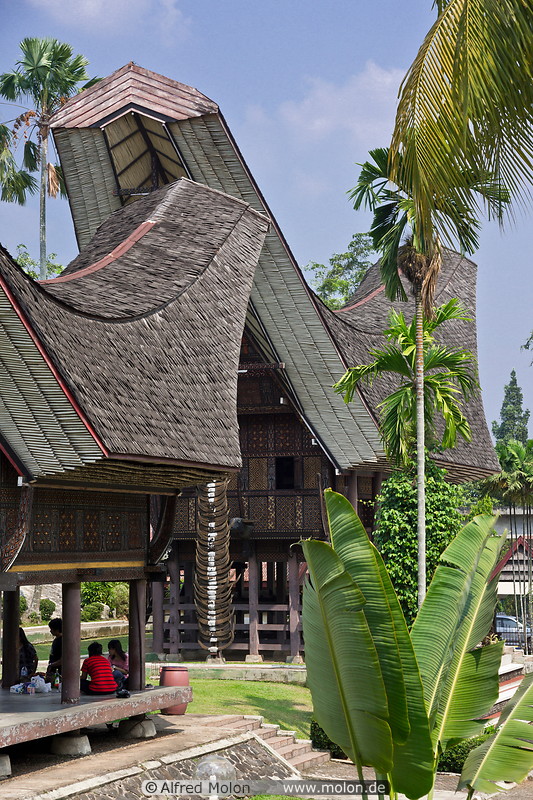19 Toraja houses, Sulawesi