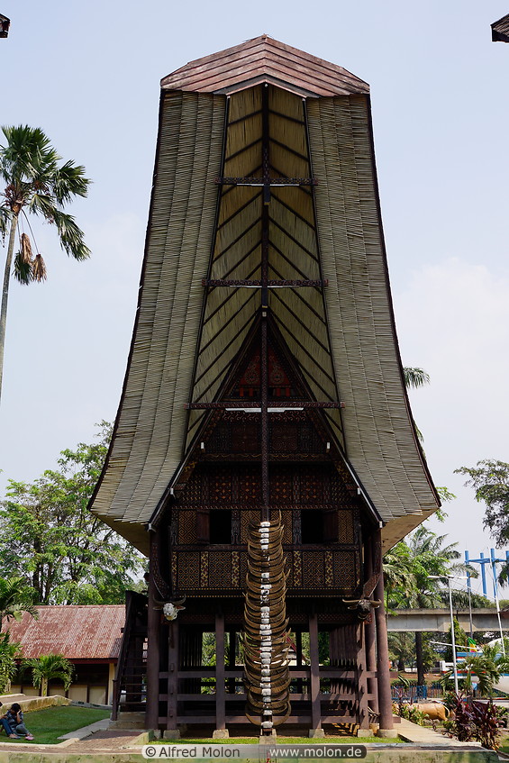 23 Toraja house, Sulawesi