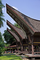 20 Roofs of Toraja houses