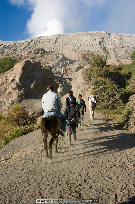 06 Tourists on horses proceeding to Mt Bromo