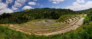 18 Terraced rice paddies