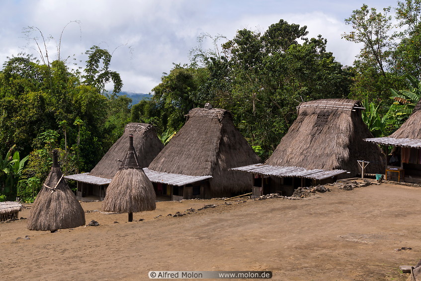 02 High thatch-roofed houses