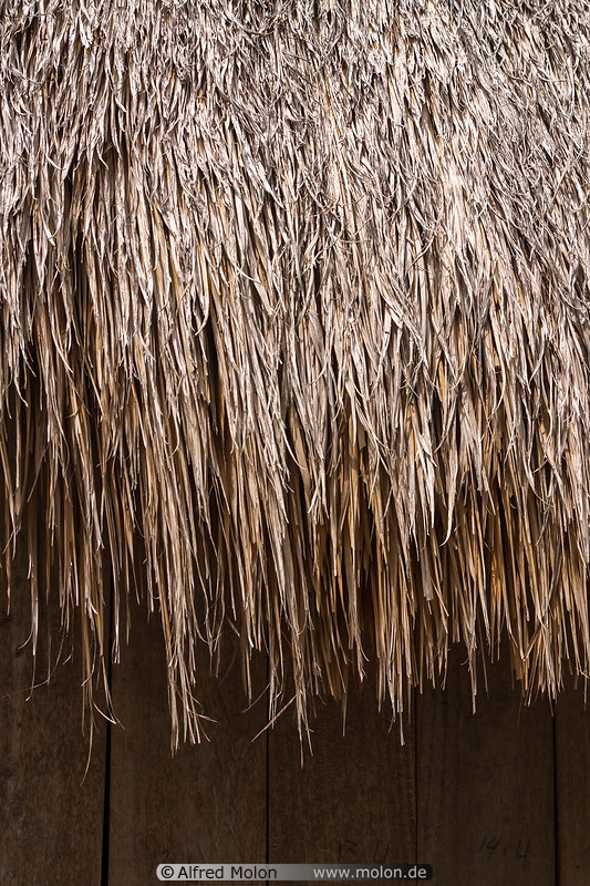 12 Thatch roof detail