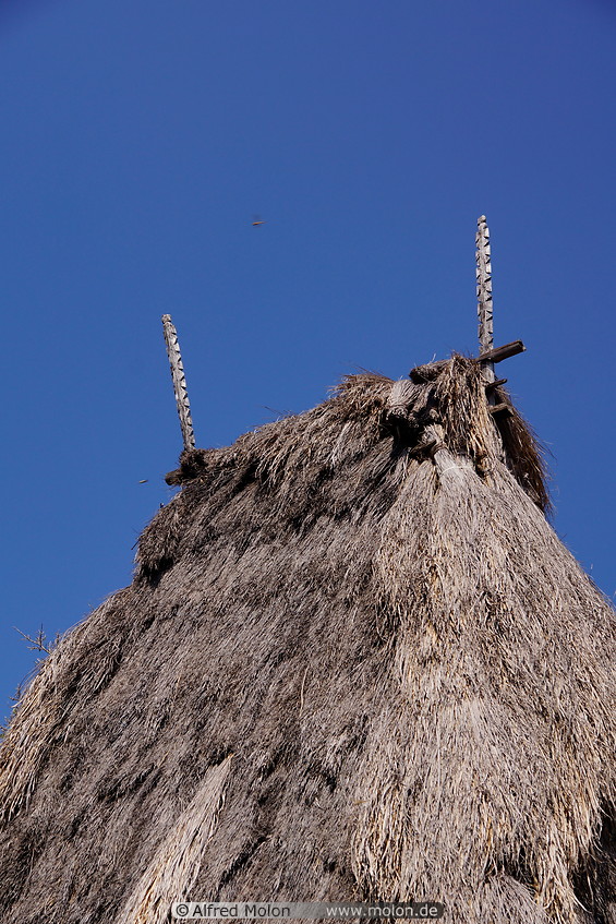 07 Thatched roof