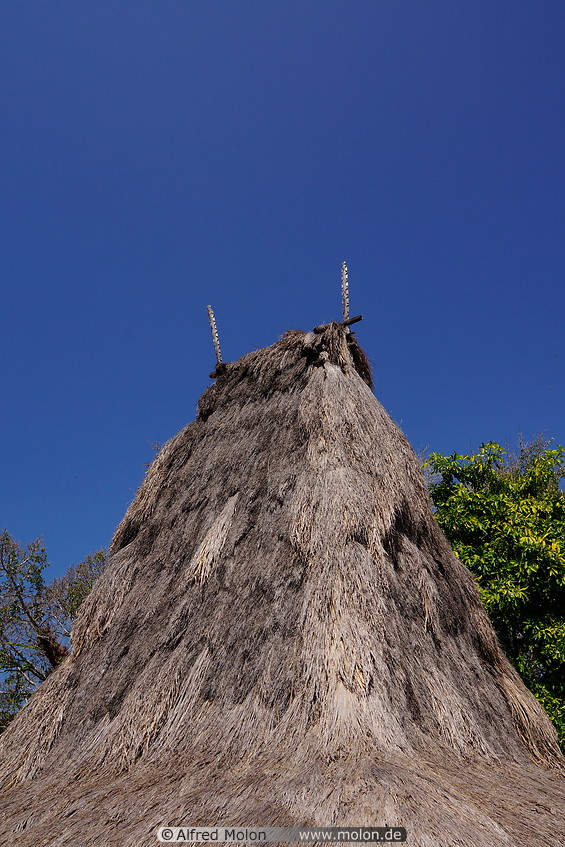 08 Thatched roof