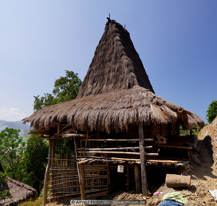10 Thatched roof house