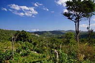 09 Southern Timor landscape