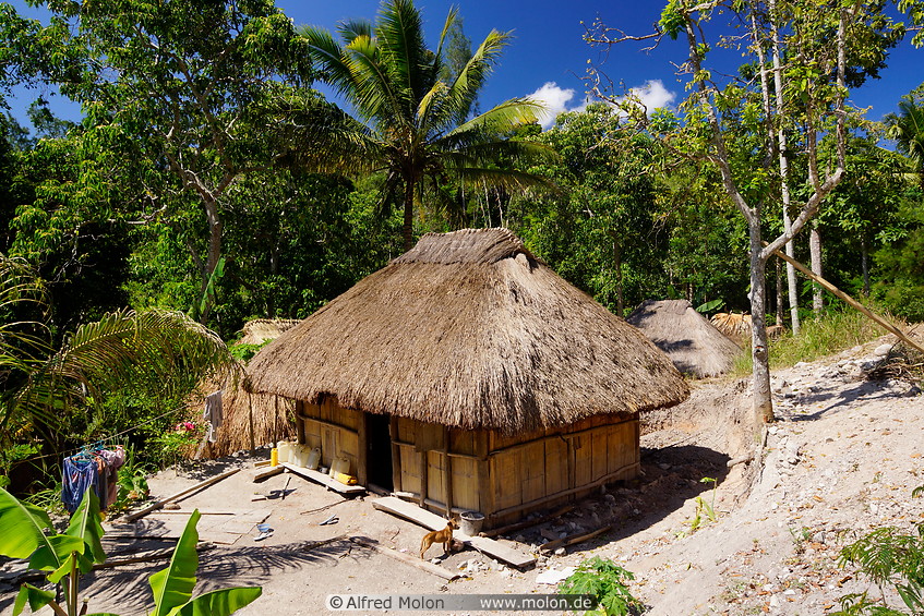 04 Traditional hut