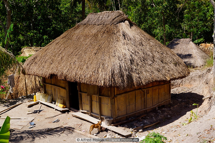 05 Traditional hut