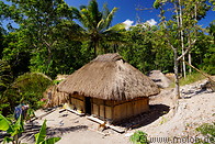04 Traditional hut