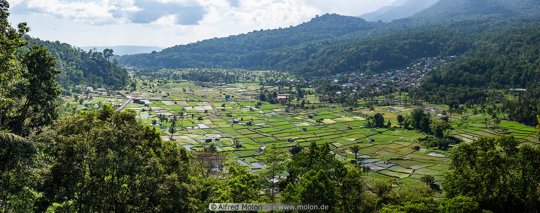 35 Valley with rice fields