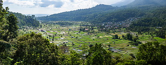 35 Valley with rice fields