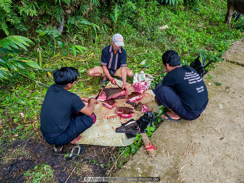 25 Men cutting pig meat