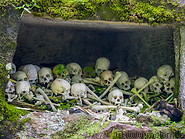 17 Skulls and bones