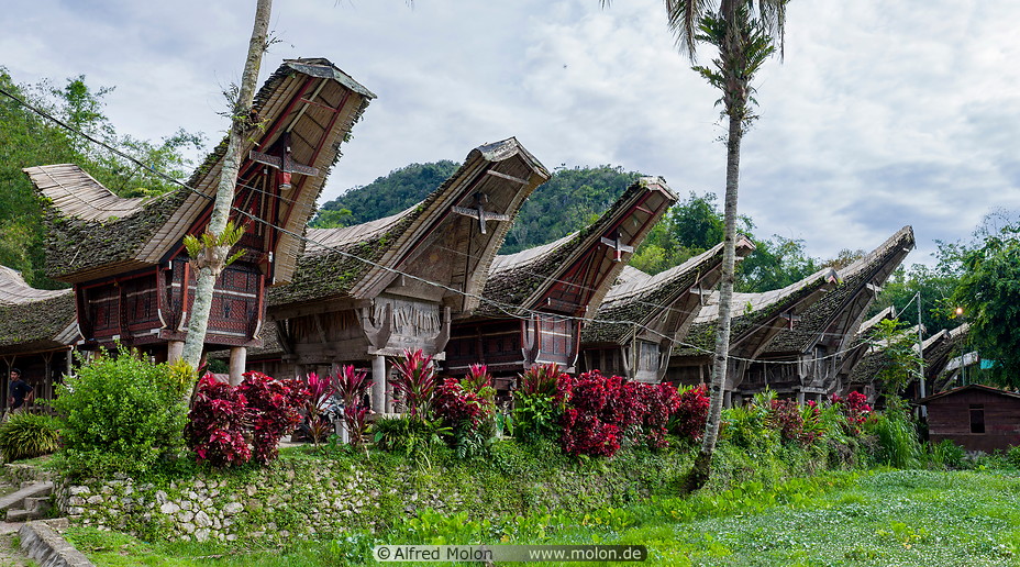 09 Tongkonan traditional ancestral houses