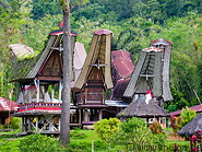 03 Tongkonan traditional ancestral houses